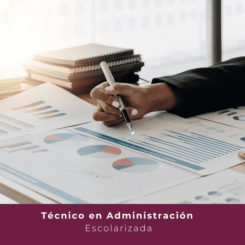 Técnico en Administración