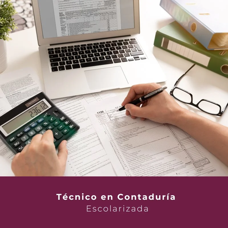 Técnico en Contaduría