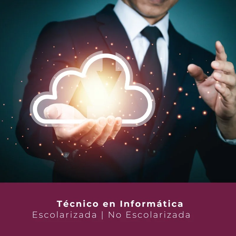 Técnico en Informática 