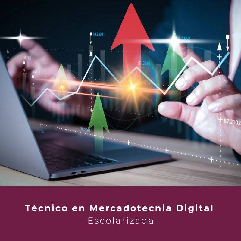 Técnico en Mercadotecnia Digital